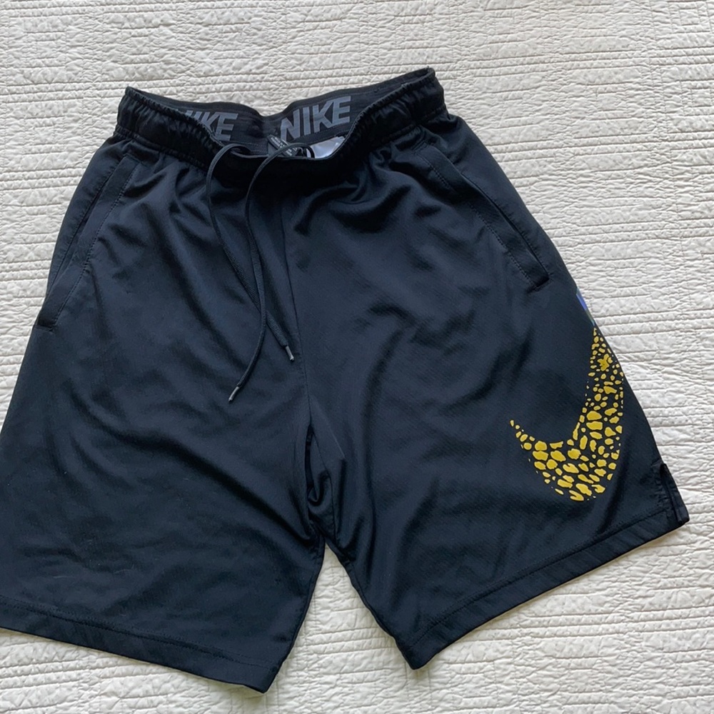 Men’s Nike shorts dri fit